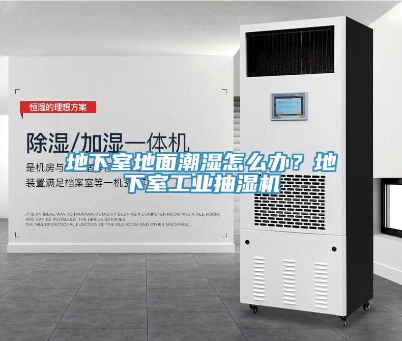 地下室地面潮濕怎么辦？地下室工業(yè)抽濕機(jī)
