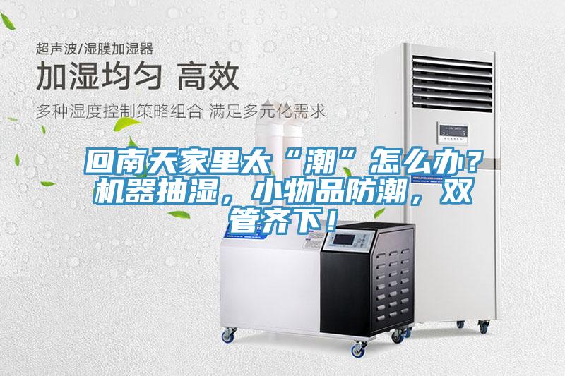 回南天家里太“潮”怎么辦？機(jī)器抽濕，小物品防潮，雙管齊下！