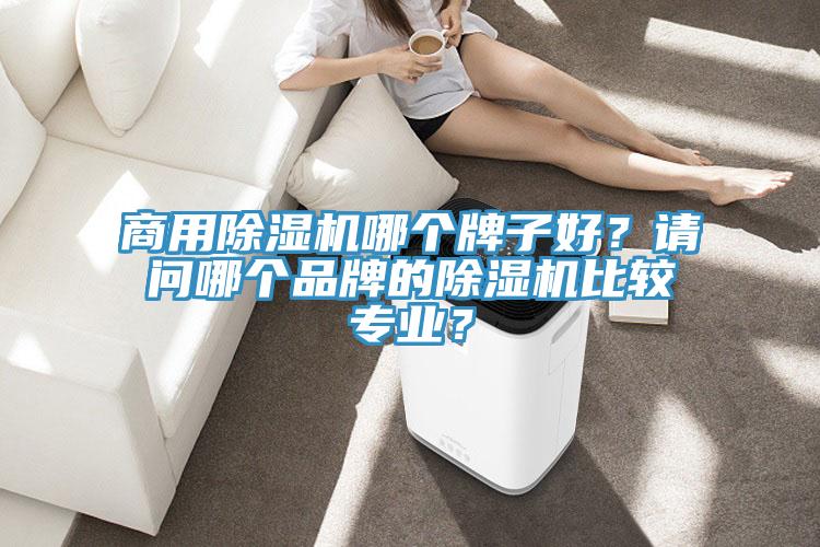 商用除濕機(jī)哪個(gè)牌子好？請(qǐng)問(wèn)哪個(gè)品牌的除濕機(jī)比較專業(yè)？