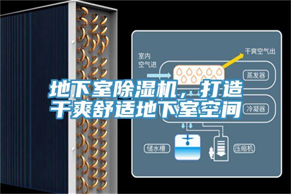地下室除濕機，打造干爽舒適地下室空間
