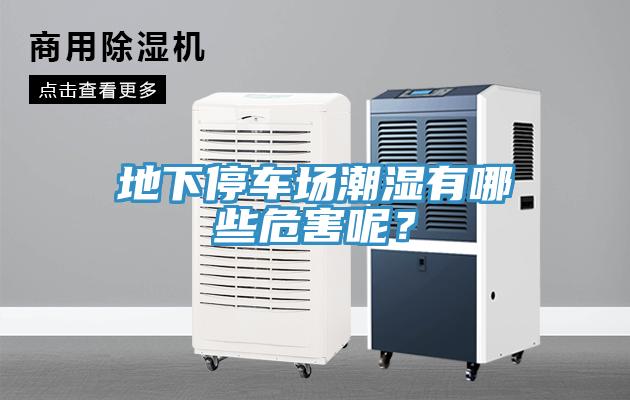 地下停車(chē)場(chǎng)潮濕有哪些危害呢？