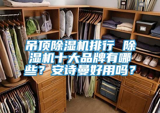 吊頂除濕機排行 除濕機十大品牌有哪些？安詩曼好用嗎？