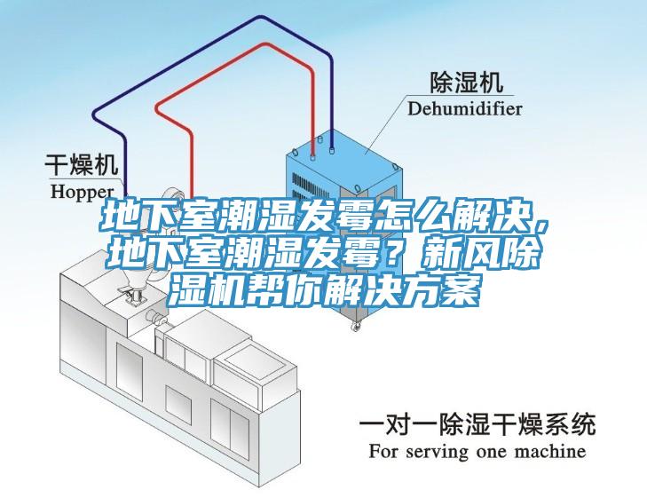 地下室潮濕發(fā)霉怎么解決，地下室潮濕發(fā)霉？新風除濕機幫你解決方案