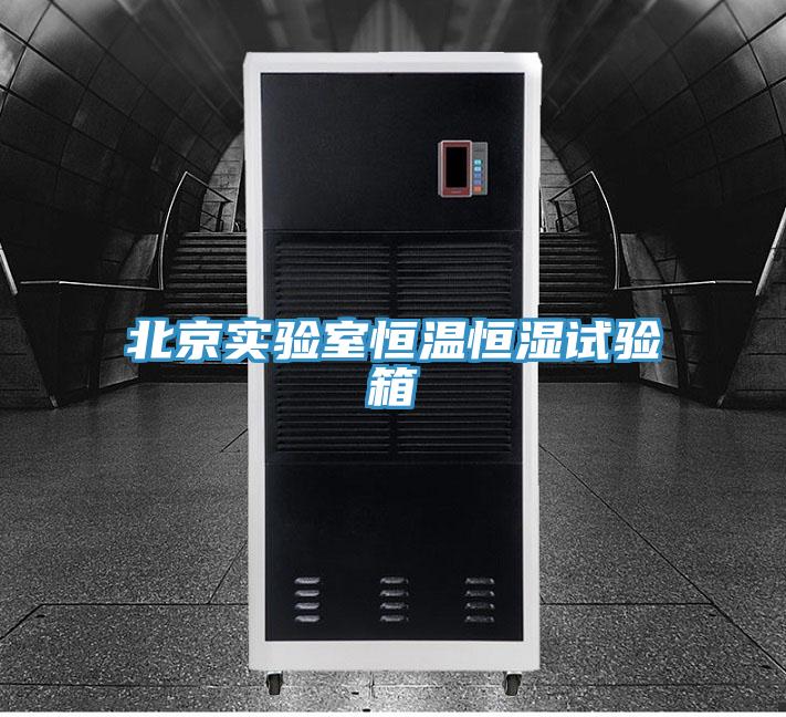 北京實(shí)驗室恒溫恒濕試驗箱