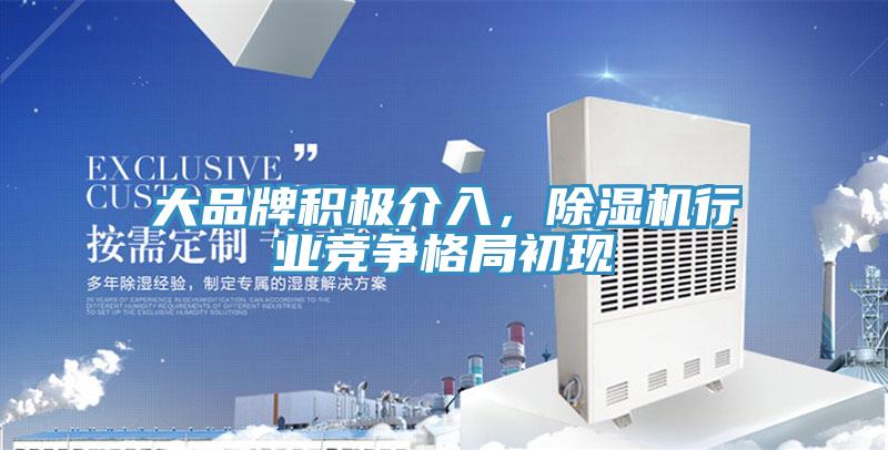 大品牌積極介入，除濕機(jī)行業(yè)競(jìng)爭(zhēng)格局初現(xiàn)