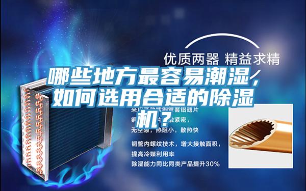 哪些地方最容易潮濕，如何選用合適的除濕機(jī)？
