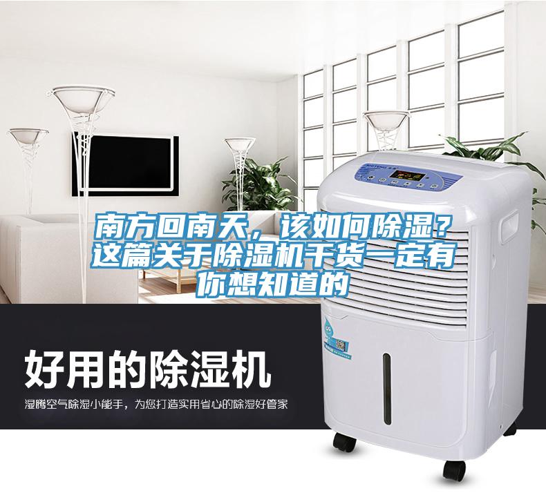南方回南天，該如何除濕？這篇關(guān)于除濕機(jī)干貨一定有你想知道的