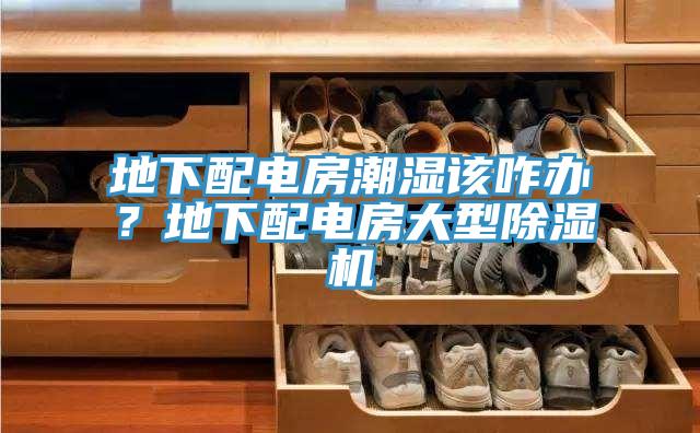 地下配電房潮濕該咋辦？地下配電房大型除濕機(jī)