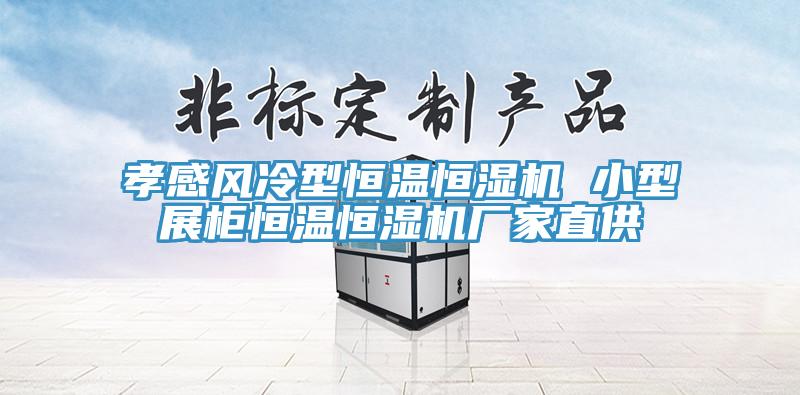孝感風(fēng)冷型恒溫恒濕機 小型展柜恒溫恒濕機廠家直供