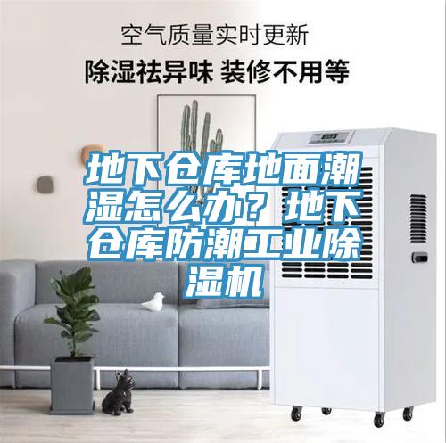 地下倉(cāng)庫(kù)地面潮濕怎么辦？地下倉(cāng)庫(kù)防潮工業(yè)除濕機(jī)