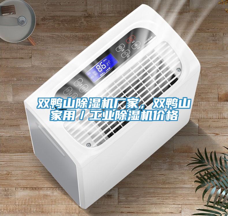 雙鴨山除濕機(jī)廠家，雙鴨山家用／工業(yè)除濕機(jī)價(jià)格