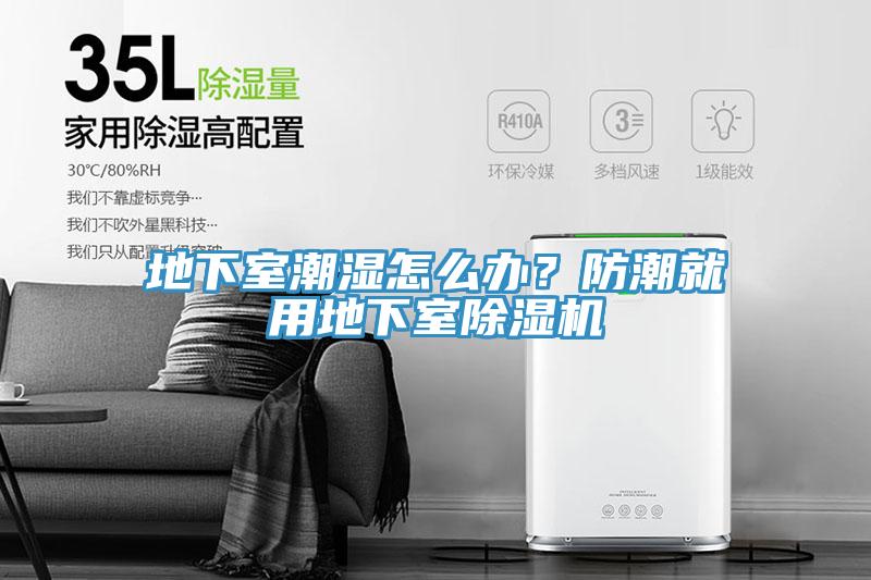 地下室潮濕怎么辦？防潮就用地下室除濕機(jī)