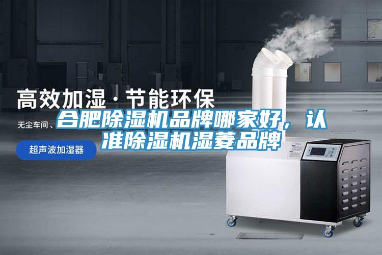 合肥除濕機品牌哪家好，認準除濕機濕菱品牌