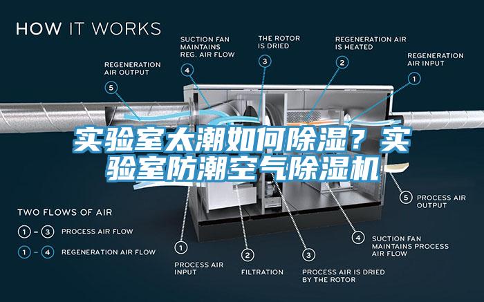實驗室太潮如何除濕？實驗室防潮空氣除濕機