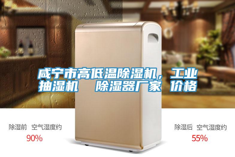 咸寧市高低溫除濕機(jī)，工業(yè)抽濕機(jī)  除濕器廠家 價(jià)格