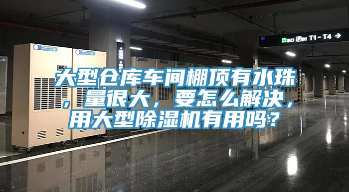 大型倉(cāng)庫(kù)車(chē)間棚頂有水珠，量很大，要怎么解決，用大型除濕機(jī)有用嗎？