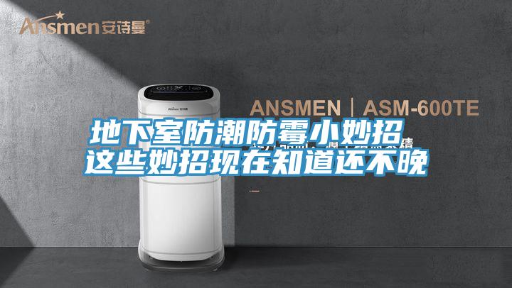 地下室防潮防霉小妙招 這些妙招現(xiàn)在知道還不晚