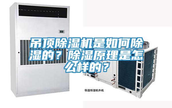 吊頂除濕機(jī)是如何除濕的？除濕原理是怎么樣的？