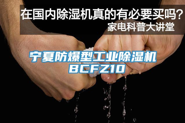 寧夏防爆型工業(yè)除濕機 BCFZ10