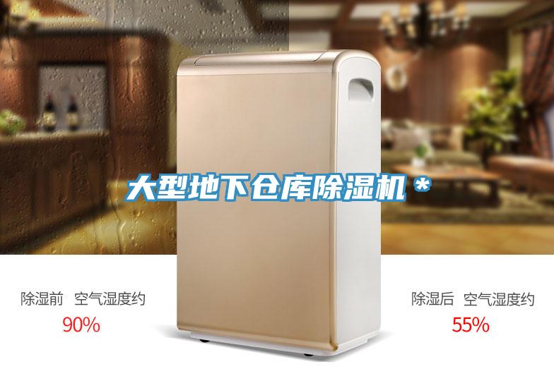 大型地下倉(cāng)庫(kù)除濕機(jī)＊
