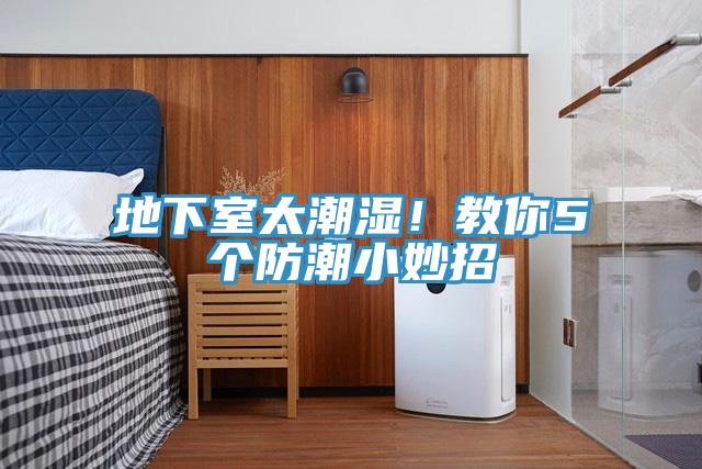 地下室太潮濕！教你5個(gè)防潮小妙招