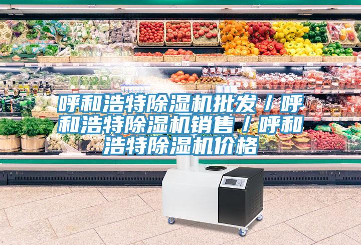 呼和浩特除濕機(jī)批發(fā)／呼和浩特除濕機(jī)銷(xiāo)售／呼和浩特除濕機(jī)價(jià)格
