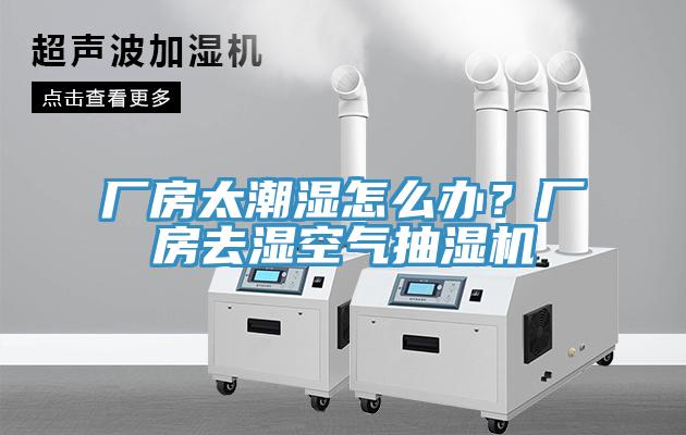 廠房太潮濕怎么辦？廠房去濕空氣抽濕機