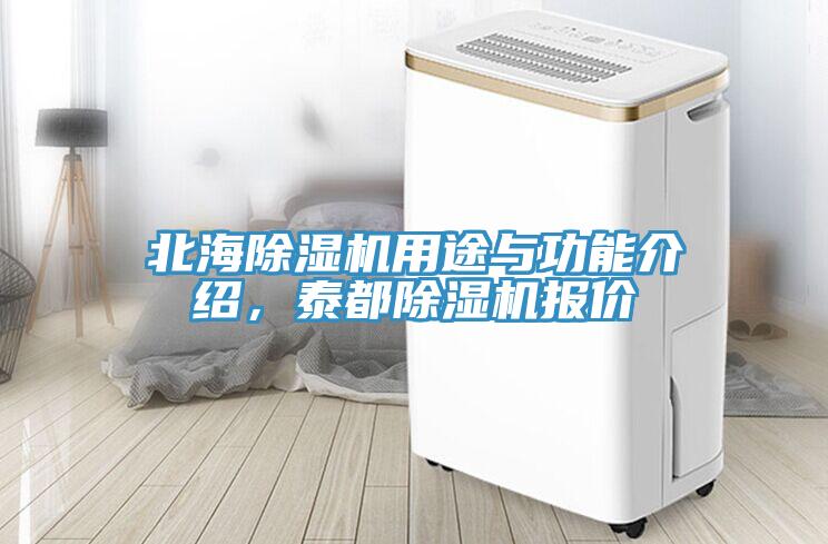 北海除濕機(jī)用途與功能介紹，泰都除濕機(jī)報(bào)價(jià)