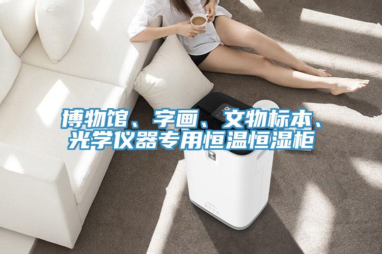 博物館、字畫(huà)、文物標(biāo)本、光學(xué)儀器專用恒溫恒濕柜