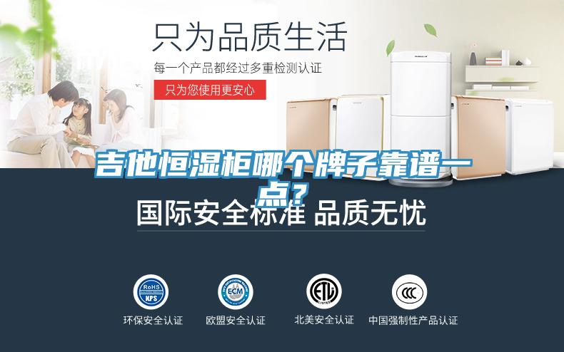 吉他恒濕柜哪個牌子靠譜一點？