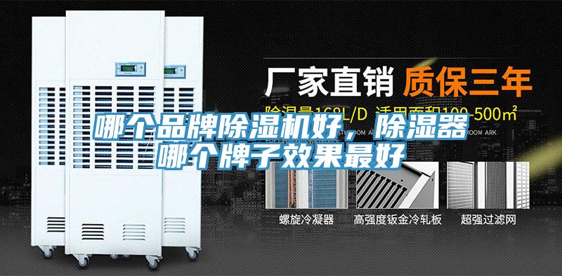 哪個(gè)品牌除濕機(jī)好，除濕器哪個(gè)牌子效果最好