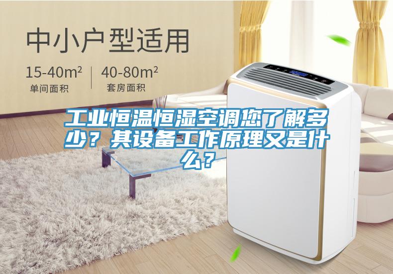 工業(yè)恒溫恒濕空調您了解多少？其設備工作原理又是什么？