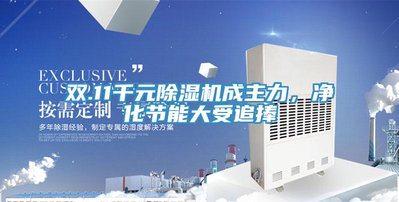 雙.11千元除濕機(jī)成主力，凈化節(jié)能大受追捧