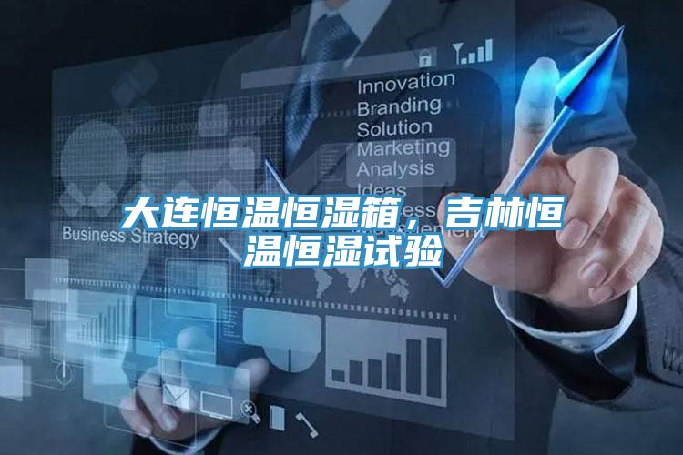 大連恒溫恒濕箱，吉林恒溫恒濕試驗(yàn)