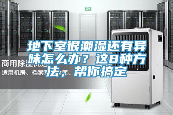 地下室很潮濕還有異味怎么辦？這8種方法，幫你搞定