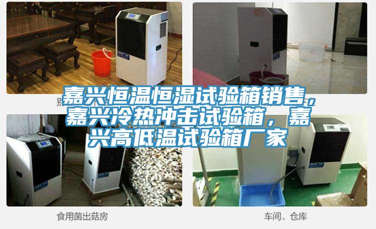 嘉興恒溫恒濕試驗箱銷售，嘉興冷熱沖擊試驗箱，嘉興高低溫試驗箱廠家
