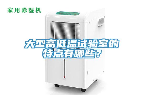 大型高低溫試驗室的特點有哪些？