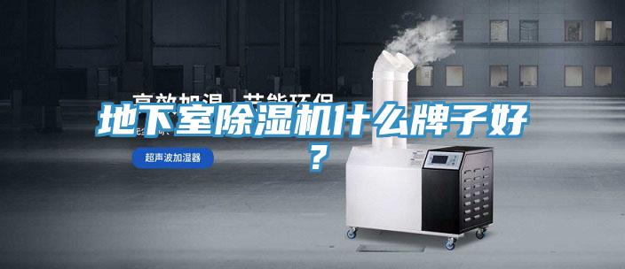 地下室除濕機(jī)什么牌子好？