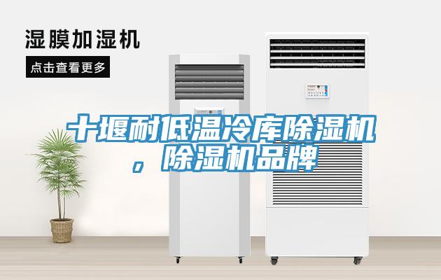 十堰耐低溫冷庫除濕機，除濕機品牌
