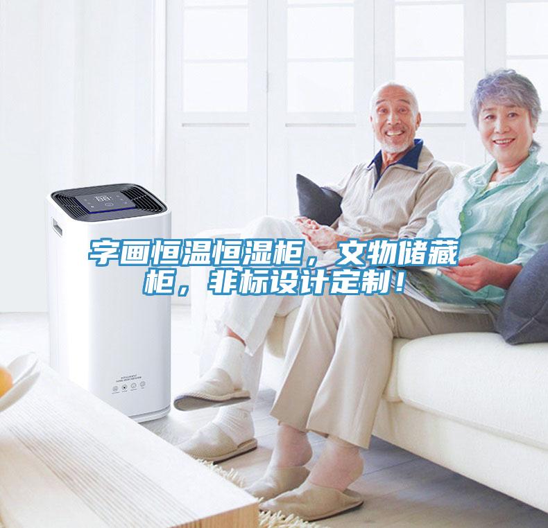 字畫恒溫恒濕柜，文物儲藏柜，非標(biāo)設(shè)計定制！