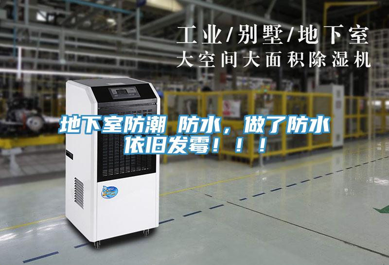 地下室防潮≠防水，做了防水依舊發(fā)霉！??！