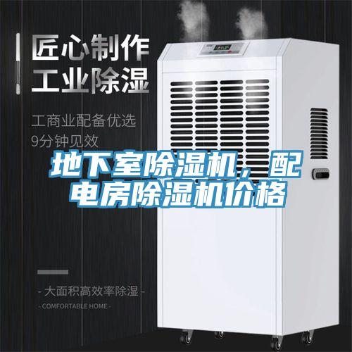 地下室除濕機(jī)，配電房除濕機(jī)價格