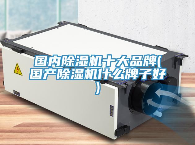 國內除濕機十大品牌(國產(chǎn)除濕機什么牌子好)