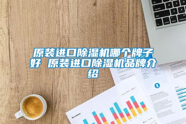 原裝進(jìn)口除濕機哪個牌子好 原裝進(jìn)口除濕機品牌介紹