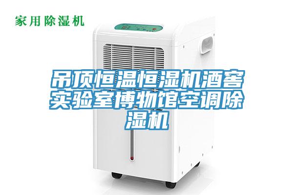 吊頂恒溫恒濕機(jī)酒窖實驗室博物館空調(diào)除濕機(jī)