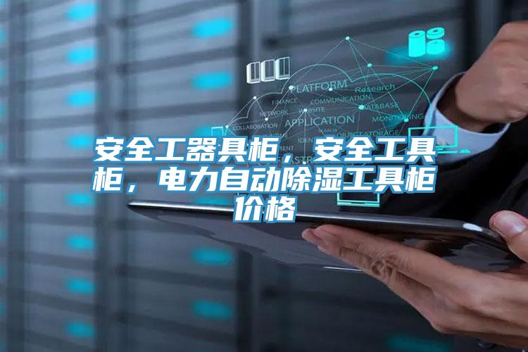 安全工器具柜，安全工具柜，電力自動除濕工具柜價格