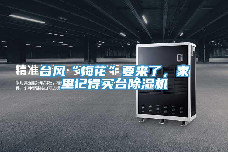 臺風(fēng)“梅花”要來了，家里記得買臺除濕機(jī)