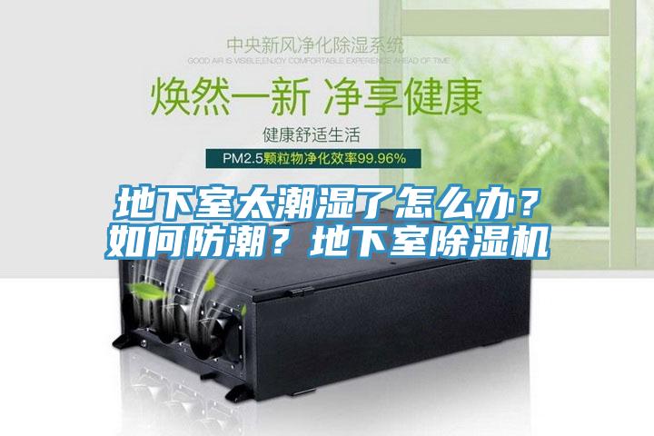 地下室太潮濕了怎么辦？如何防潮？地下室除濕機(jī)