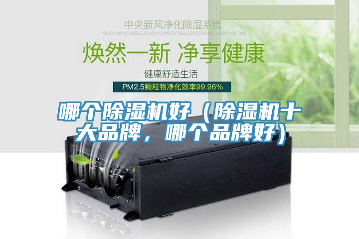 哪個(gè)除濕機(jī)好（除濕機(jī)十大品牌，哪個(gè)品牌好）