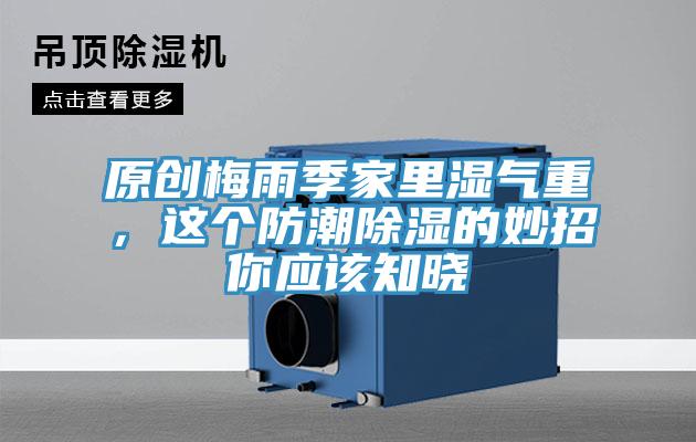 原創(chuàng)梅雨季家里濕氣重，這個(gè)防潮除濕的妙招你應(yīng)該知曉